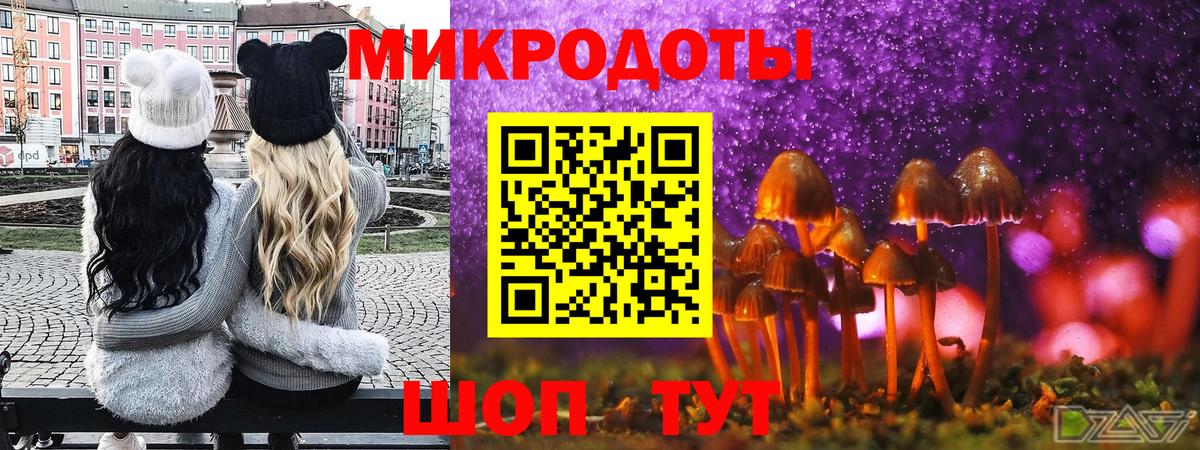 Галлюциногенные грибы мухоморы  Вход с VPN  Псилоцибиновые грибы GOLDEN TEACHER  Полысаево 